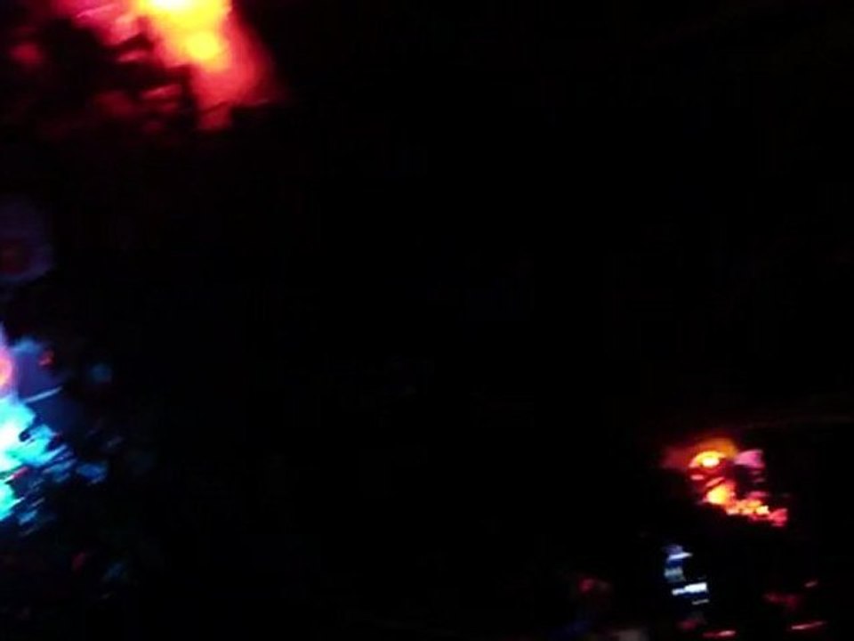 MAGIC FOREST (2)