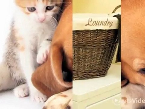 45 Apartments in Allendale, MI - ForRent.com