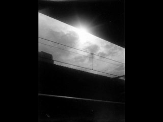 The dream fades away, and the shed burns, and the horse takes a shit / mitsuho nakata