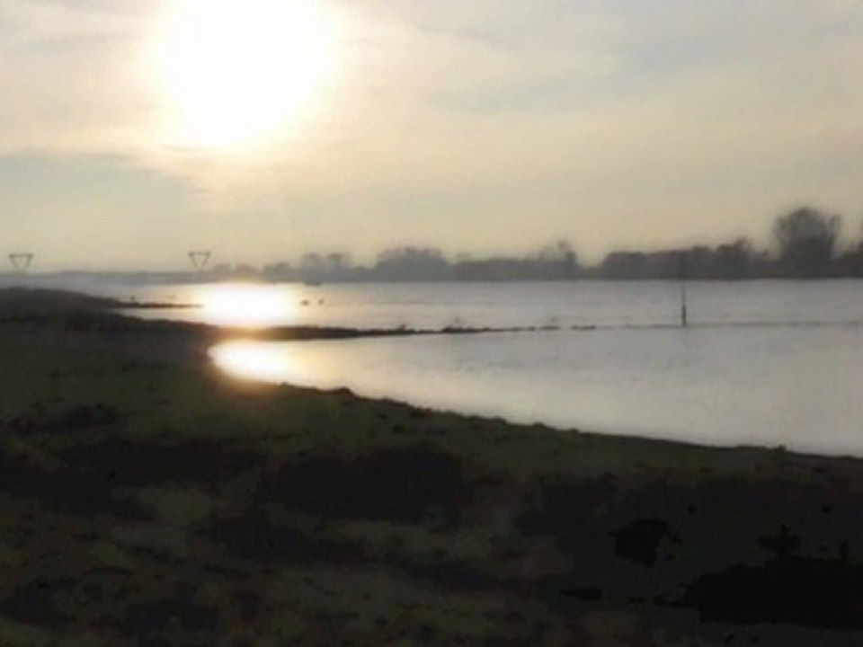 PAN INO Longing Love