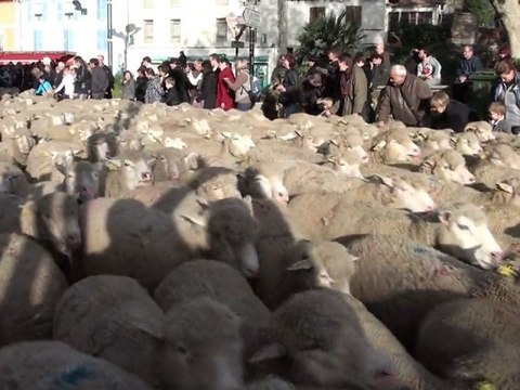 Fête des bergers Istres 2011