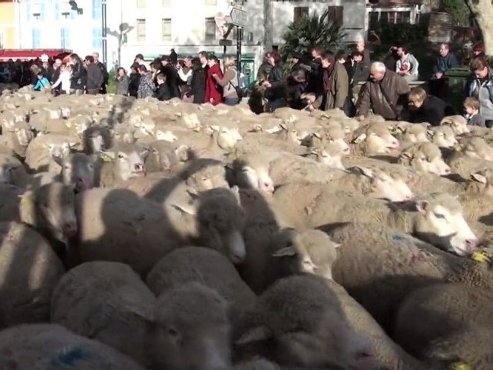 Fête des bergers Istres 2011