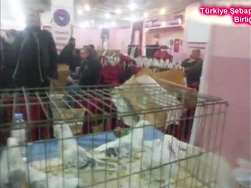 Türkiye Şebap Güvercin Birliği III.Trakya Festivali 2.Bölüm
