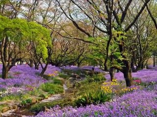 DON OMAR-PAPİ CHULO