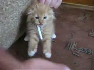 Giving Up Smoking is very difficult