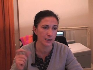 Sandrine Mazetier, Députée de Paris