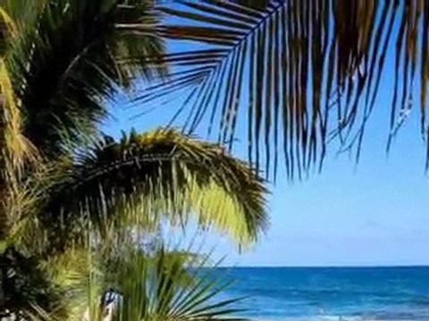 P'tite fleur fanée Graeme Allwright