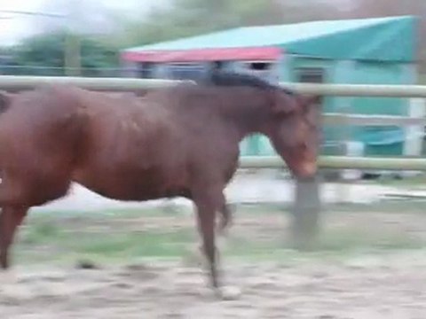 Virgil deCerisy dec.2011 1ers sauts