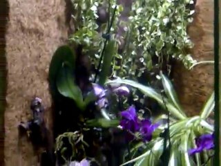 VID-20111128-00033