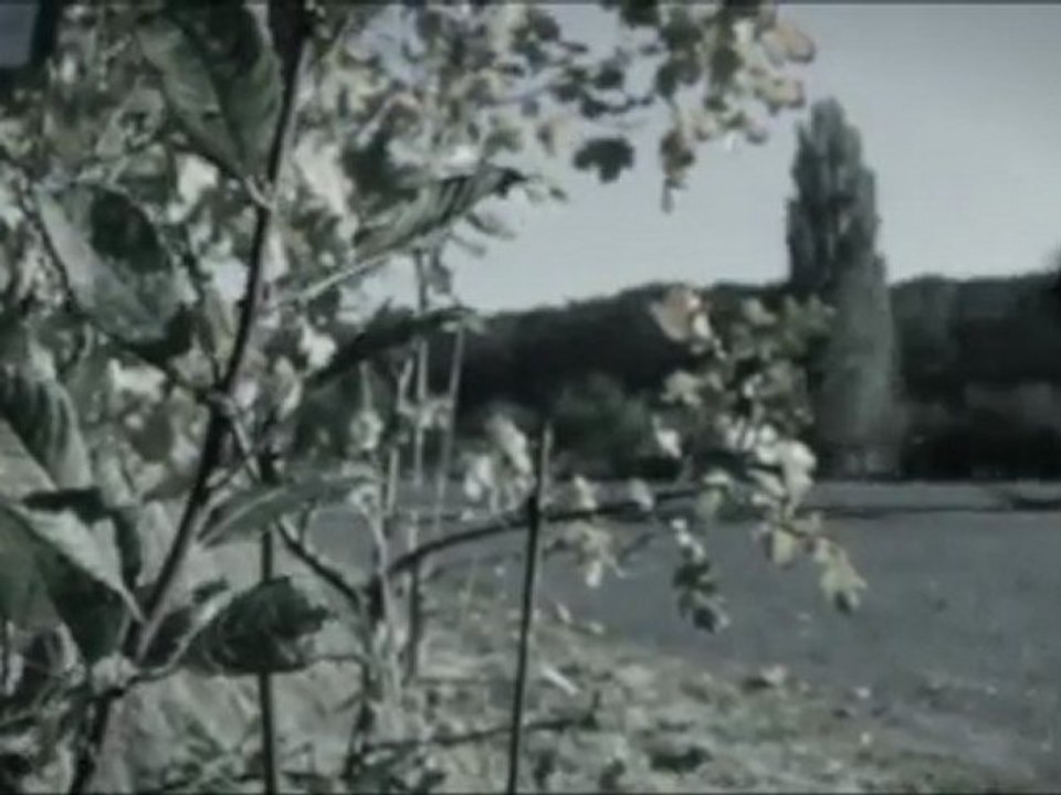 2WIRED - KRAFT durch FREUDE [FullHD]