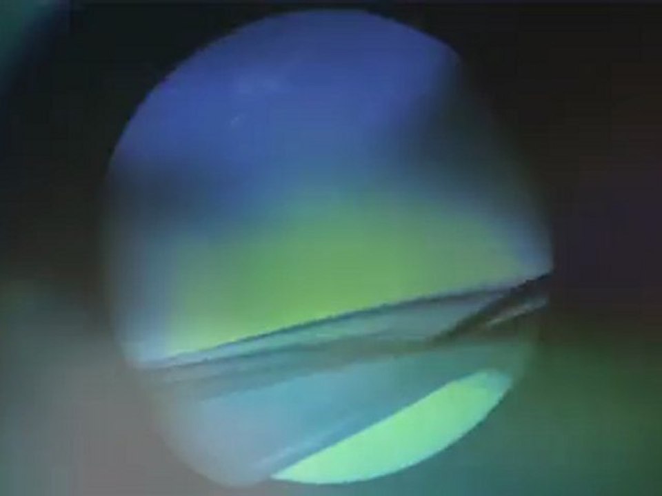 Django Django Waveforms