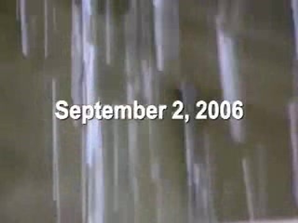 Rain Southern California