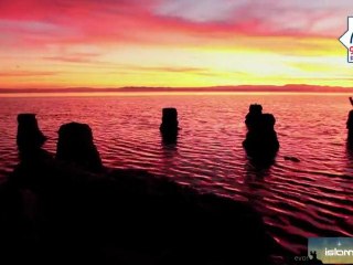 تلاوة تهز القلوب - سلمان العتيبي Beutifull Quran Recitation