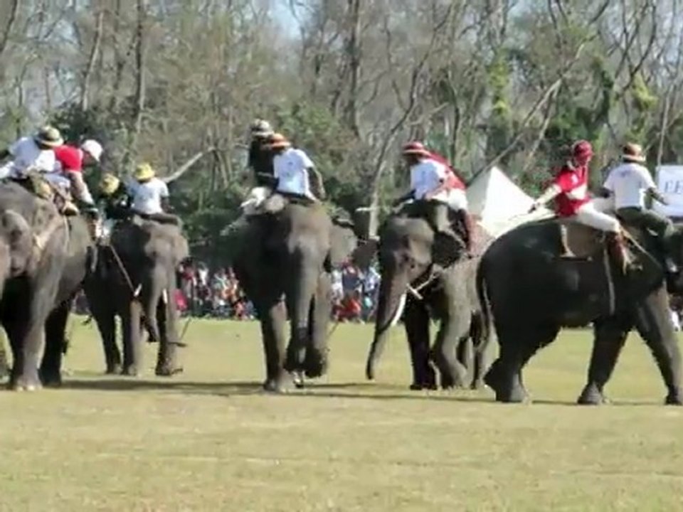 Polo com elefantes