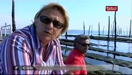 Focus : un bassin d'ostréiculteurs