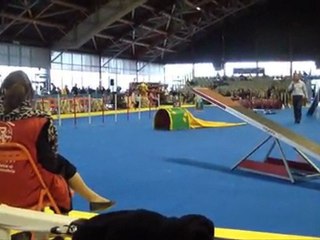 Vodka Beaujoire 2011