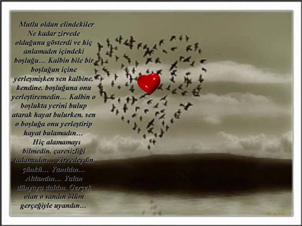 Siz Hep Sandınız, Anlamadınız