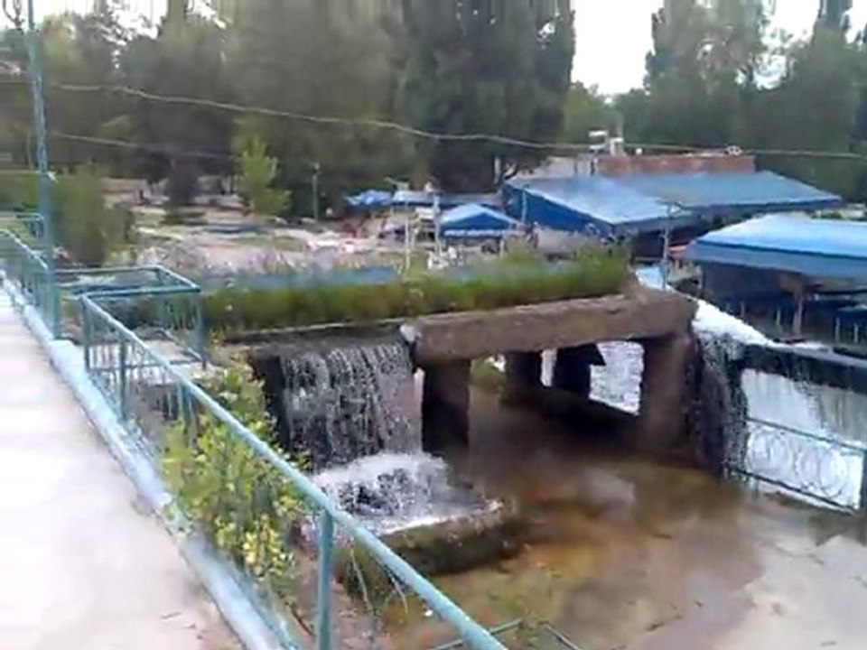 Sakarya Başı