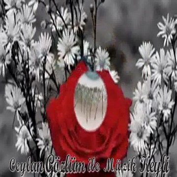 senden özür diliyorum