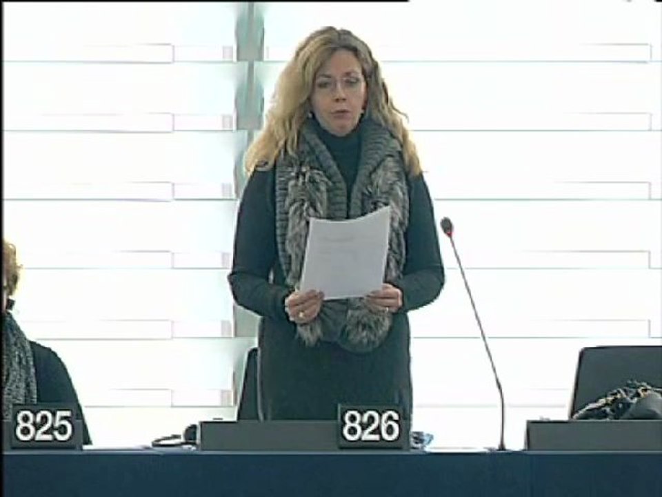 Cecilia Wikström on Single application procedure for residence and work