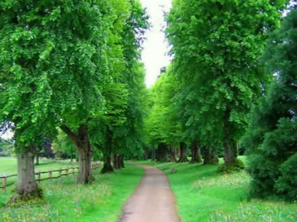 Christian Hymns ( Lyrics in description ) - Jesus, Thou Joy of Loving Hearts