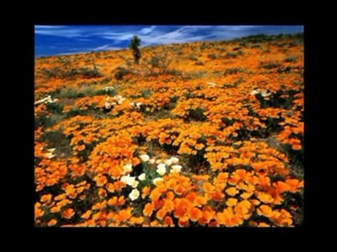 It is Well with My Soul ( Christian Hymns with Lyrics in Description / Choir )