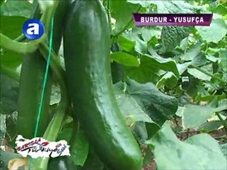 ALİ ELMAS - Yusufça kasabası tanıtım