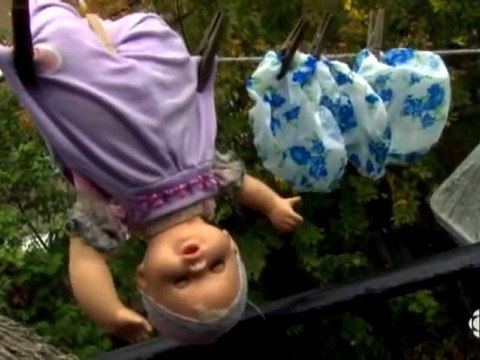 Découverte - Punaises de lits