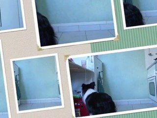 Les Bétises d'Engie TOME I