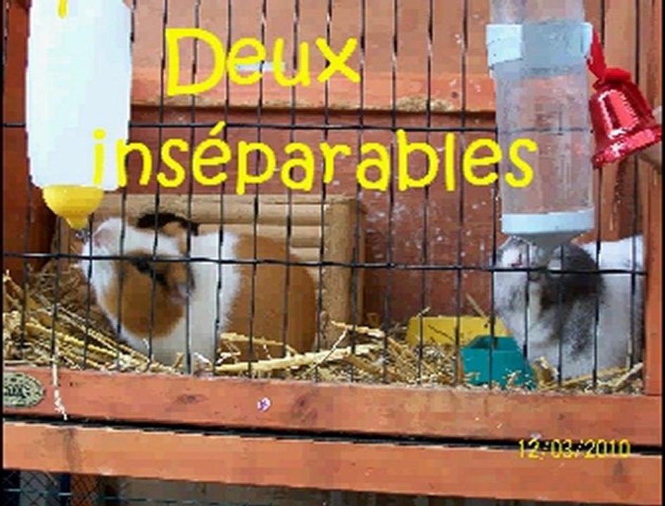 Hommage à Milky