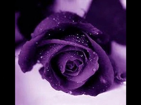 BİR BAHAR AKŞAMI RASTLADIM SİZE