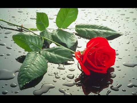 BİLMEMKİ NEDENDİR BANA SEN HOR BAKIYORSUN