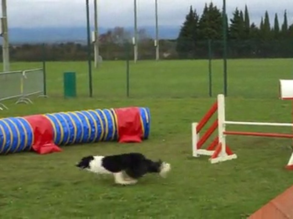 Elis Degre Carcassonne 041211