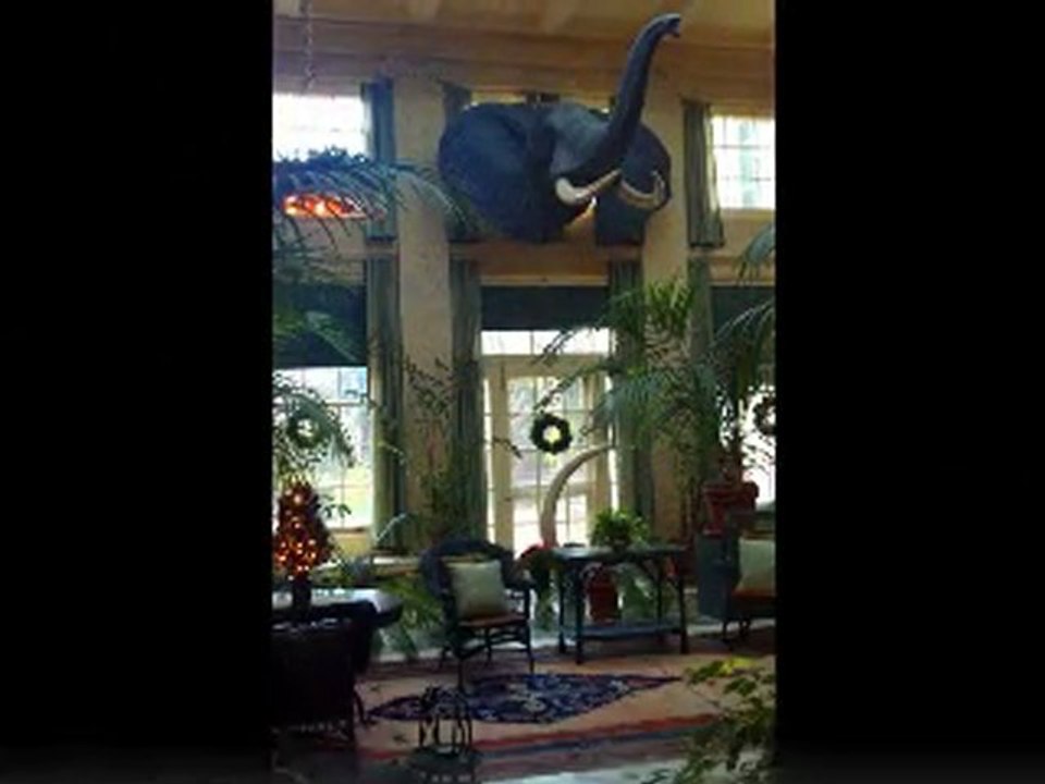 Andre-Alves-Andre-Rochester-NY-Business-Owner-Pittsford-NY-Entrepreneur