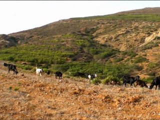 Paysages tunisiens