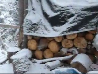 Sageterre 2011 - Petite maison rouge