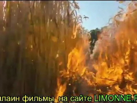 Куки возвращается 2010