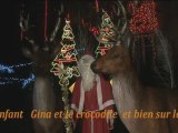 Les rennes du Père Noël à la ferme aux mille lumières 2011 JC Guerguy vol 2