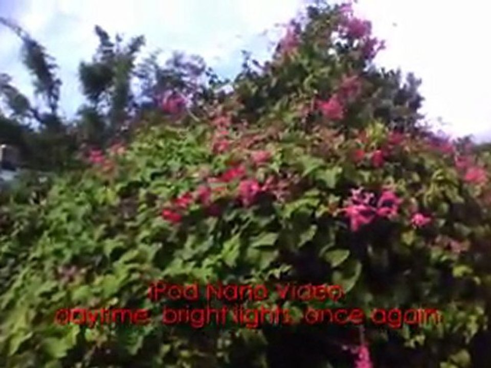 Apple iPod touch 8 GB 4th Generation