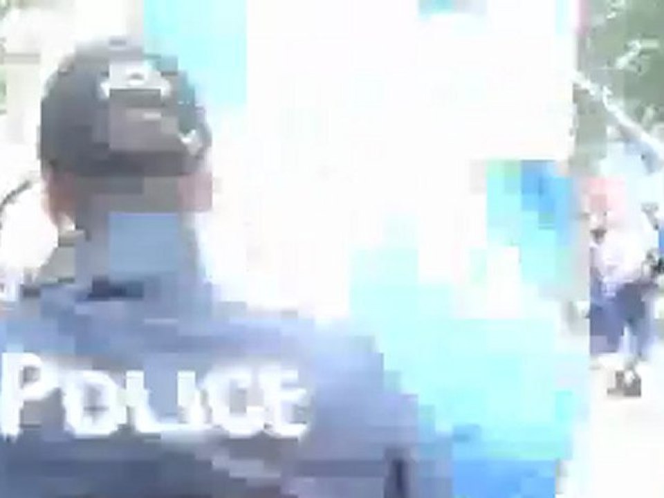 0447 - Policier arrache le drapeau d'un manifestant