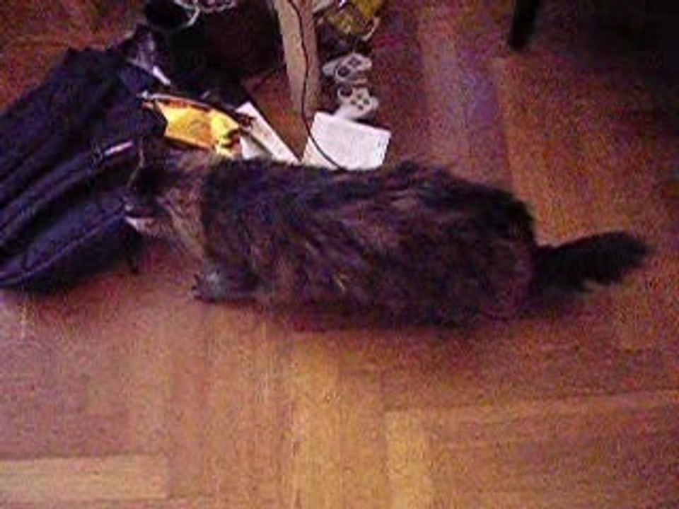 Tu t'es vu quand t'as bu?