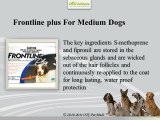 Frontline Plus for Dogs