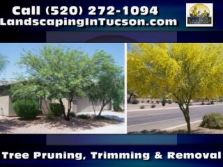 Landscaper Tucson AZ La Cholla Landscaping