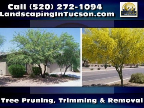 Landscaper Tucson AZ La Cholla Landscaping