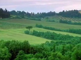 ALQUILER DE COCHES CON CONDUCTOR FLORENCIA Y TOSCANA BENI DRIVER SERVICE