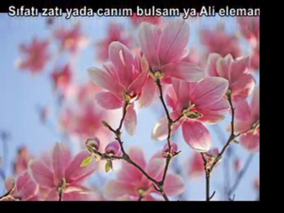 MÜĞRET YA ALİ