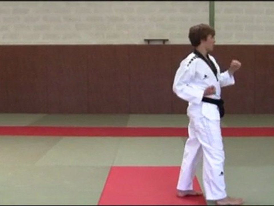 Poomse 1 TAE GEUG IL JANG