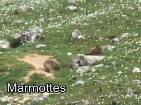 Col Berviére & vercors