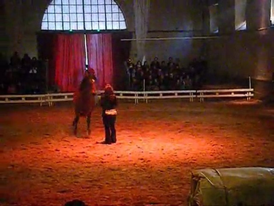 Alvarito Spectacle privé au Haras