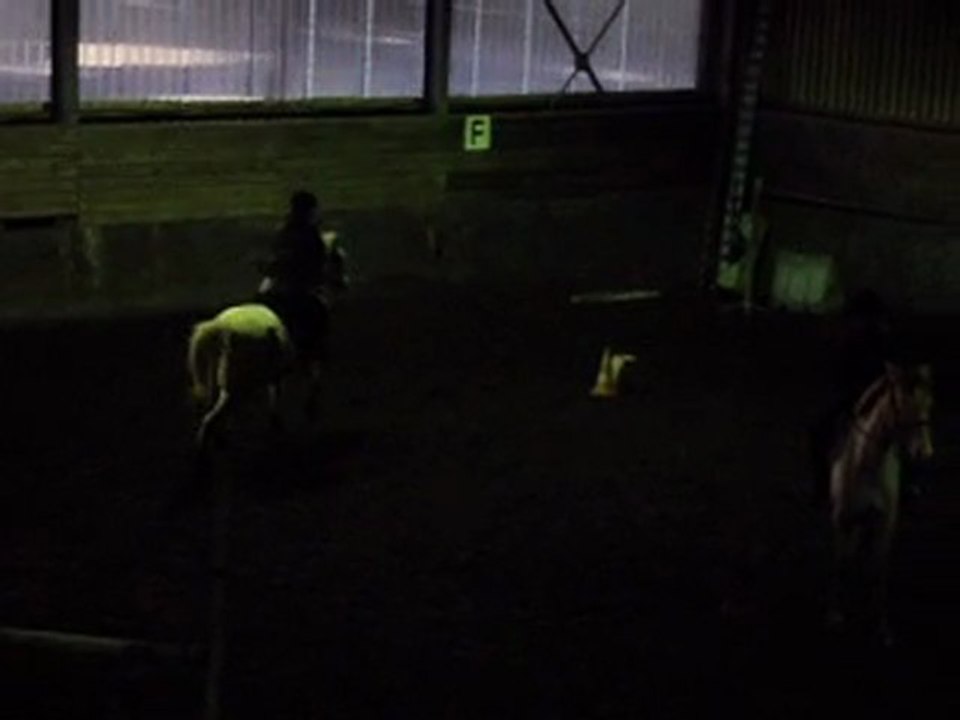 Cours de saut ( 10/12/2011 )